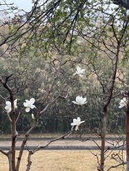 -北京郡王府饭店·宴会厅