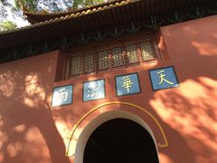 -普陀山风景名胜区-法雨禅寺