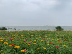 -阳澄湖半岛旅游度假区