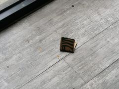 -星巴克(蒲汇塘路店)