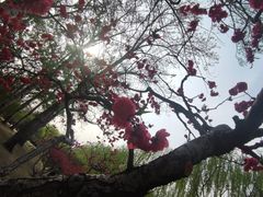 -元大都城垣遗址公园