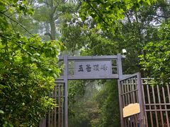 -玉苍山国家森林公园