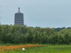 -永定河休闲森林公园