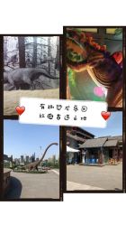 -恐龙探索乐园(磁器口店)