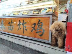 -春苗炸鸡