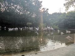 -广州长隆飞鸟乐园