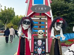 -青岛方特梦幻王国