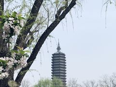 -西海子公园
