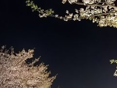 -长田漾湿地公园