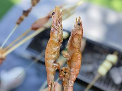 -亲兄弟真人CS团建拓展基地