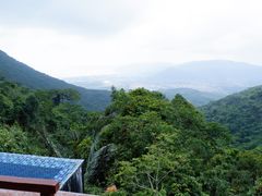 -三亚亚龙湾人间天堂鸟巢度假村