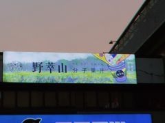 -野萃山·潮汕厚果汁(十亩地店)