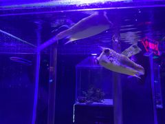 -太平洋海底世界