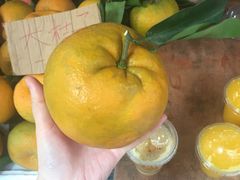 -马拉桑果汁(龙头路总店)