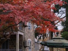 -莫干山风景区