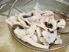 脆鲩鱼片-中山脆肉鲩(新圳东路店)