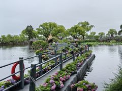 -无锡蠡湖国家湿地公园-蠡园