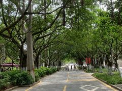 -厦门大学(思明校区)