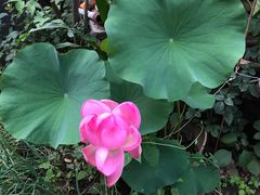 -南窖乡水峪村山情农家