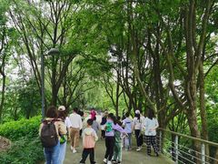 -西湖风景区-江洋畈生态公园