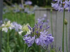 -嘉善路(地铁站)