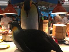 -帝企鹅自助餐厅•儿童岛•真企鹅(长隆企鹅酒店)