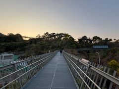 -福道
