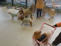 -怪兽屋·羊驼·猫咖·狗咖(俊华广场店)