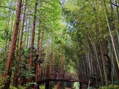 -同里国家湿地公园