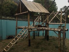 -无锡动物园·太湖欢乐园