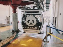 -栾川竹海野生动物园