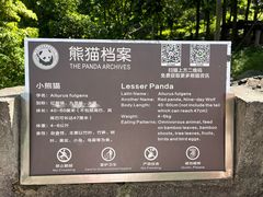 -都江堰中华大熊猫苑