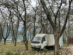 -楠溪江风景名胜区