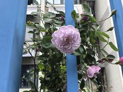 -南京邮电大学(仙林校区)
