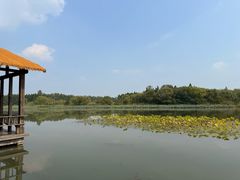 -溱湖国家湿地公园