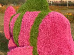 -苏州太湖西山岛开心农场