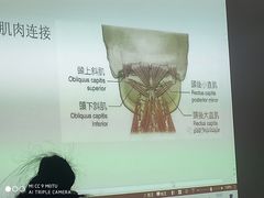 -LANN I 蘭 泰式古法按摩(徐家汇城开YOYO店)