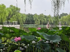 -丰台花园