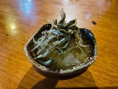 -鸟内会(河北路店)