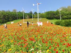 -沈阳植物园
