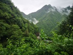 -遂昌金矿国家矿山公园