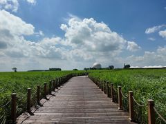 -黑龙江扎龙生态旅游区