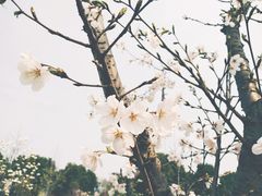 -江南大学(蠡湖校区)