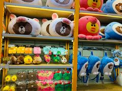 -line friends(明洞旗舰店)