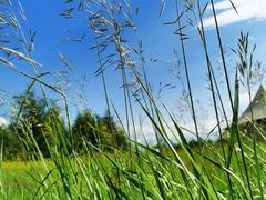 -塞罕坝国家级自然保护区