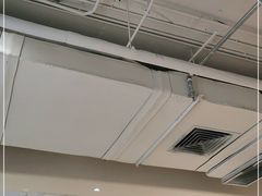 -狐狸和向日葵(北京路店)