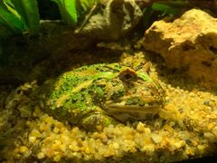 -暹罗海洋世界