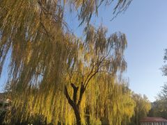 -丰台花园