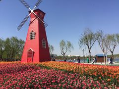 -廊坊文化艺术中心