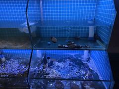 -面道赞宁海海鲜面(迎凤街店)